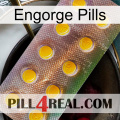 Engorge Pills new11